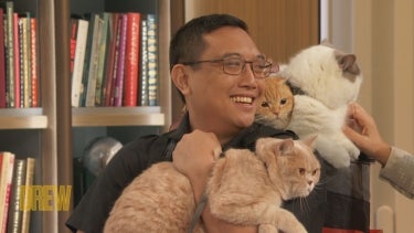 Viral TikTok Cat Dad Introduces His Fluffy Creatures to Drew | In a Minute