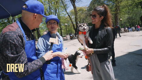 Drew Barrymore & Ross Mathews Surprise Pet-Lovers in NYC's Central Park