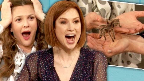Drew Helps Ellie Kemper Face Her Fear of Tarantulas 