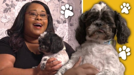 Courtney McWilliams Gives Tips on Supporting Anxious Dogs | Hot Tip 