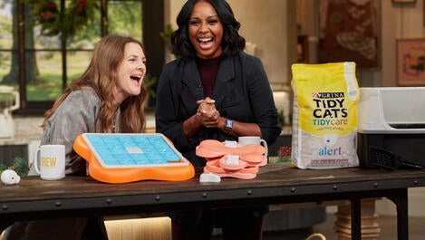 Veterinarian Reveals Biggest Pet Care Tips for Keeping your Dogs and Cats Healthy