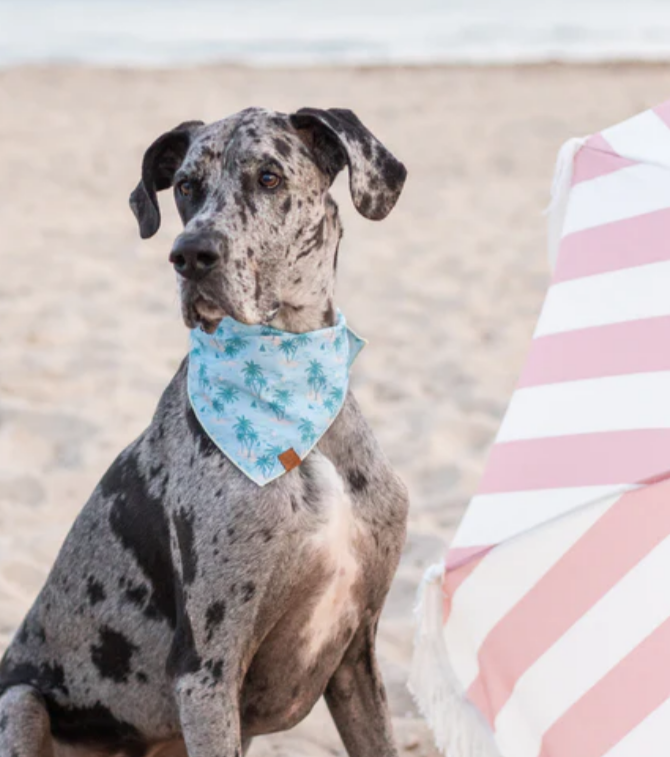Dog Bandana