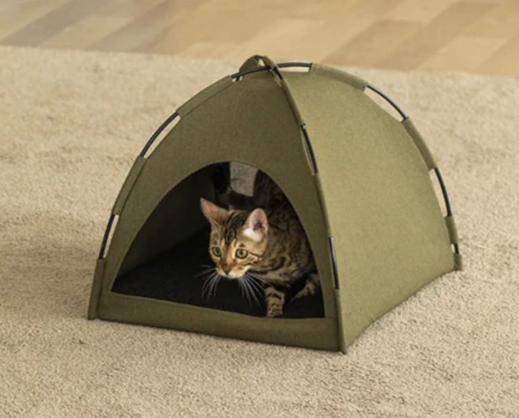Glamping Cat Tent